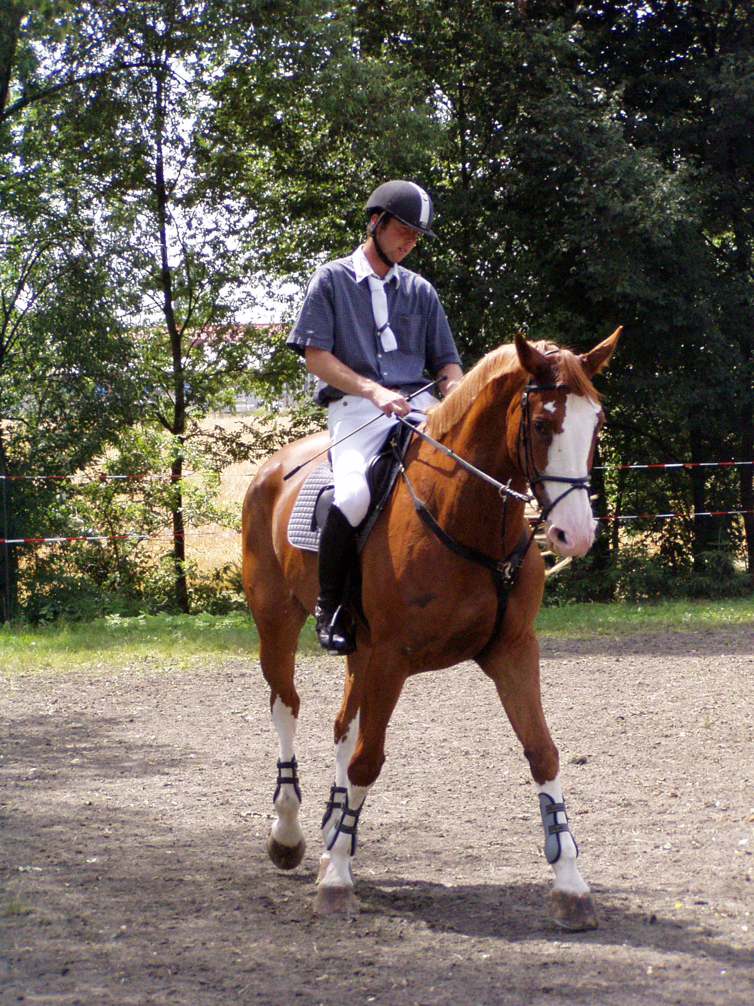 P1010115.JPG